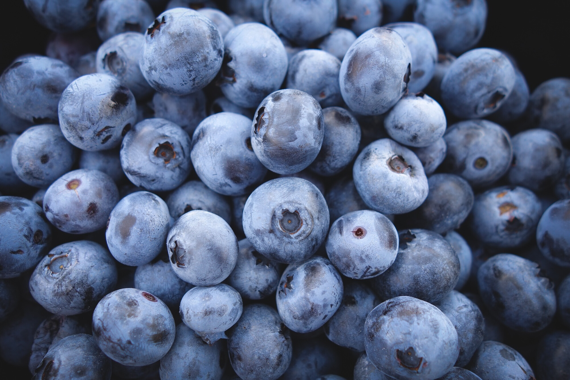 Blueberry Bling