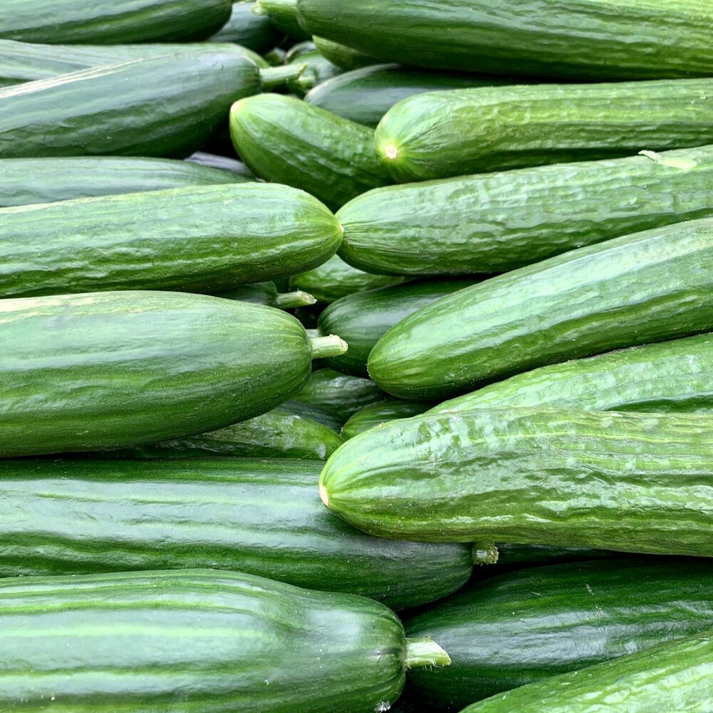 Cucumber Yogurt Dip