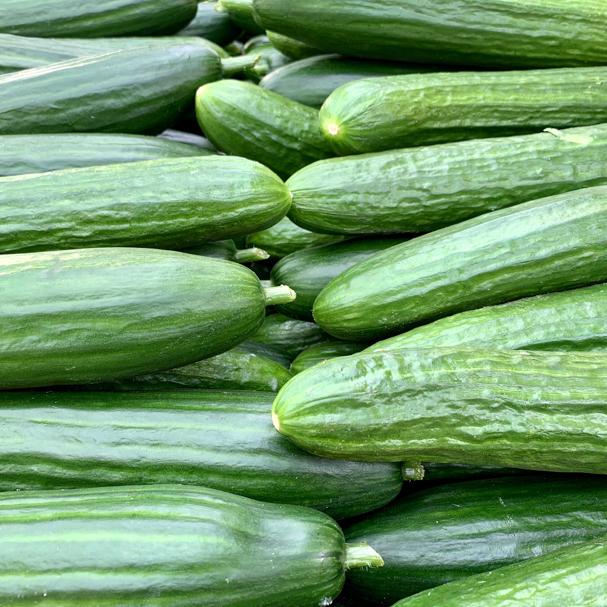 Cucumber Yogurt Dip