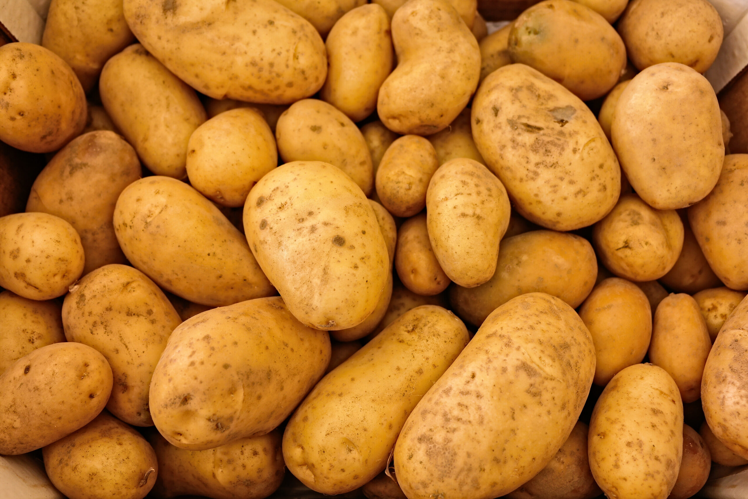 Taco Flavored Potatoes