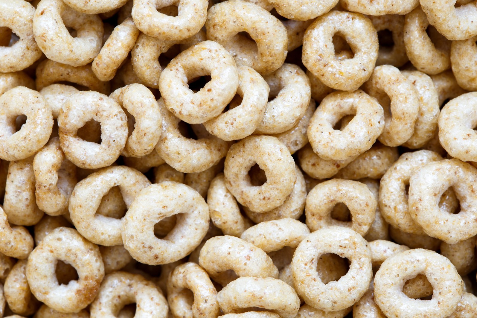 Whole Grain Cereal Bars